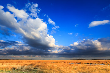 Meadow landscape with beautiful cloudscape