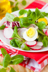 Fresh salad of radish and greens, eggs