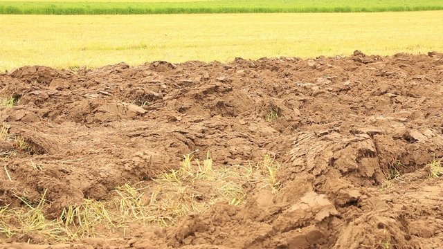 Landwirtschaft Acker pfl&uuml;gen