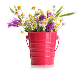 Beautiful wild flowers in .pail, isolated on white