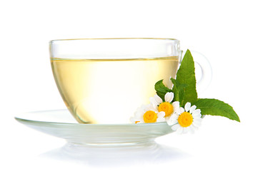 Cup of herbal tea with wild camomiles and mint, isolated