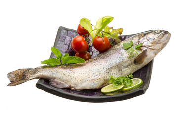 Fresh raw rainbow trout