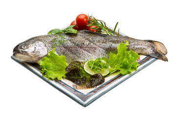 Fresh raw rainbow trout