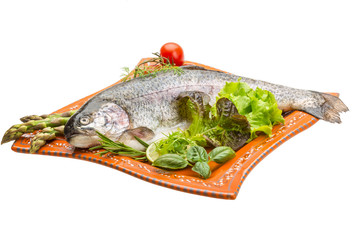 Fresh raw rainbow trout