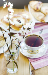 Blossoming apricot in the glass, cup of tea and puffs.