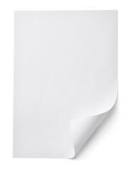 leaflet letter business card white blank paper template