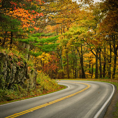 S-Curved Road On Skyline Drive - 52404509