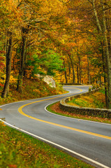S-Curved Road On Skyline Drive - 52404739