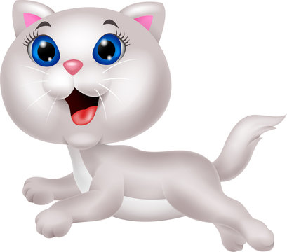 Cute white cat cartoon running