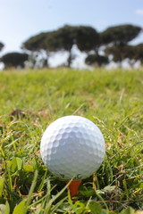 Golf ball