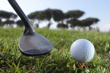 Golf putter and ball