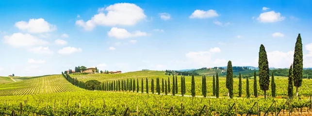 Gordijnen Prachtig landschap met wijngaard, Chianti, Toscane, Italië © JFL Photography