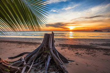 Tropical beach at sunset.