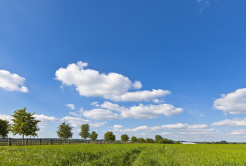 Idyllic rural farmland, Cotswolds UK