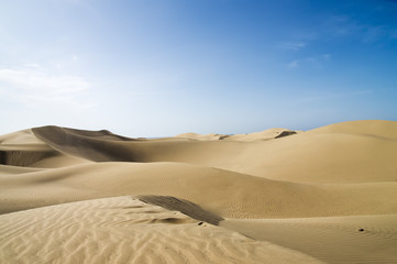 Fototapeta na wymiar Piękne Sand Dune. Złoto pustyni.