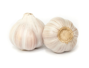 Garlic isolated on white background.