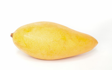 mango fruit.