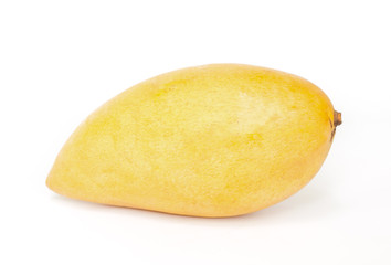 mango fruit.