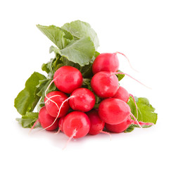 Red radish vegetable