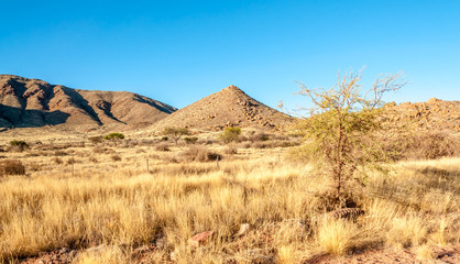 Namibian Nature