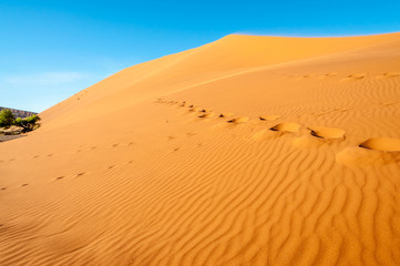 Foot Steps in the Desert