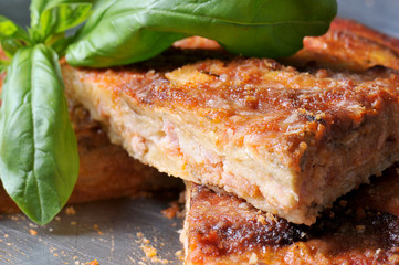 eggplants parmigiana traditional italian recipe