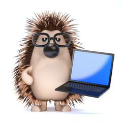 Cute hedgehog with laptop © Steve Young