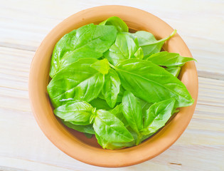 fresh basil