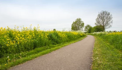 Foto op Plexiglas Country road in the spring between the plenty of bloomin nature. © Ruud Morijn