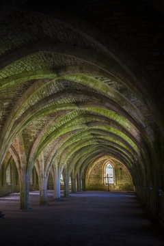 Fountains Abbey  Cellarium