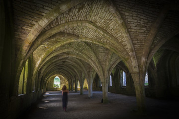 Fountains Abbey  Cellarium ghost