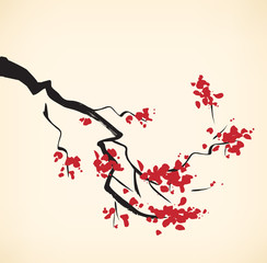 Fototapeta premium Cherry tree branch