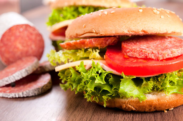 Salami and cheese sandwich