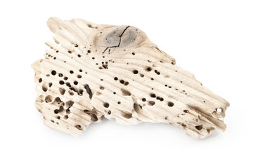 A piece of wood with termite holes on white background.