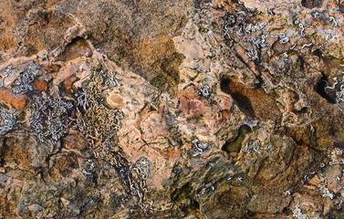 Rocce erose dall'aacqua