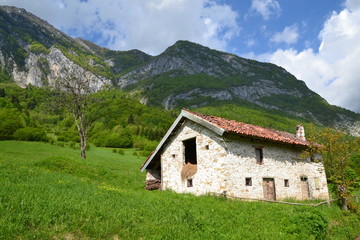 Fototapeta na wymiar Friulian Dolomity Park