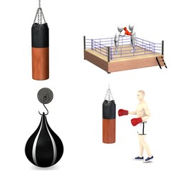 collection of 3d renders - boxing equipment