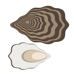Oyster