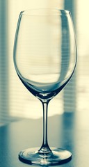 Wine glass