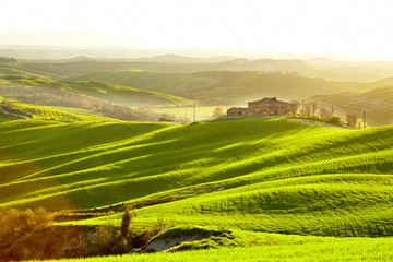 Fototapeta premium Countryside, San Quirico d`Orcia , Tuscany, Italy