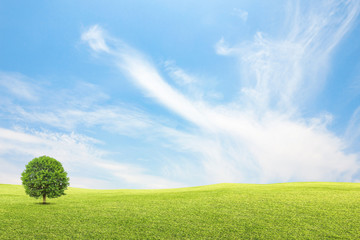 Naklejka na ściany i meble Green field and tree with blue sky clouds