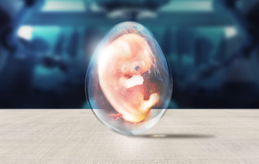 clone embryo