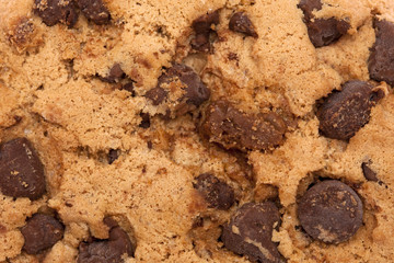 Chocolate chips cookies isolated on white