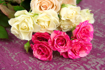 Beautiful colorful roses close-up, on color background