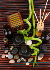 Spa composition with bamboo branches on wooden table close-up