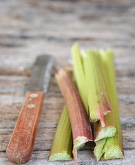 rhubarb