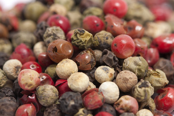Colored Peppers Mix on the white background