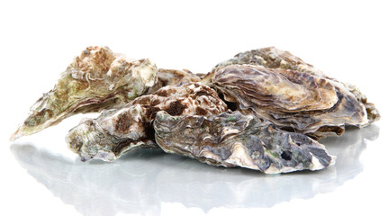 Oysters isolated on white