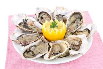 Oysters isolated on white