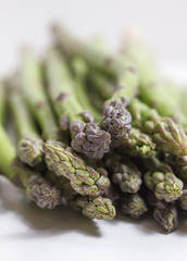 isolated asparagus